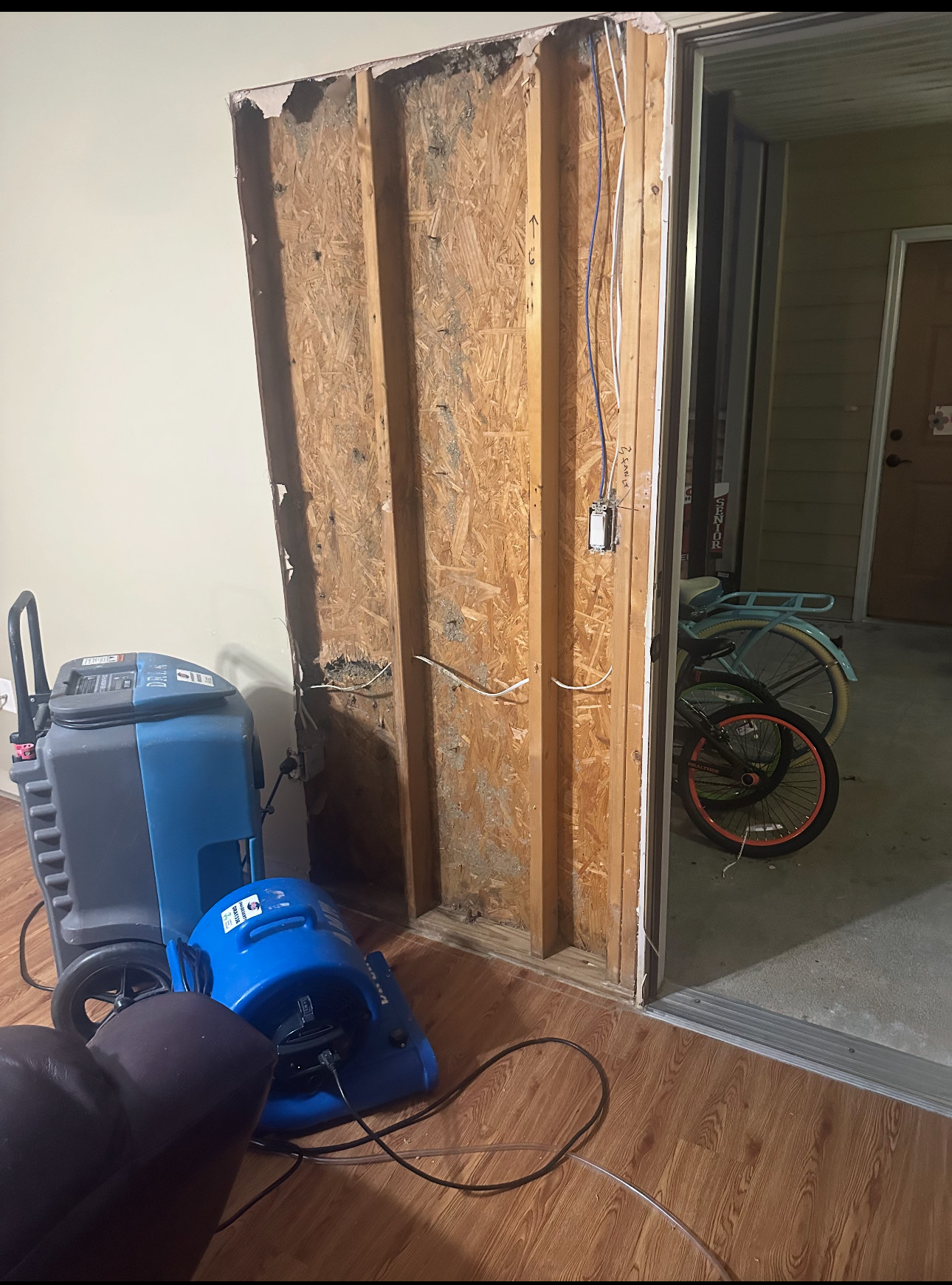 Desert Rose Carpet Cleaning Client Provided (1)