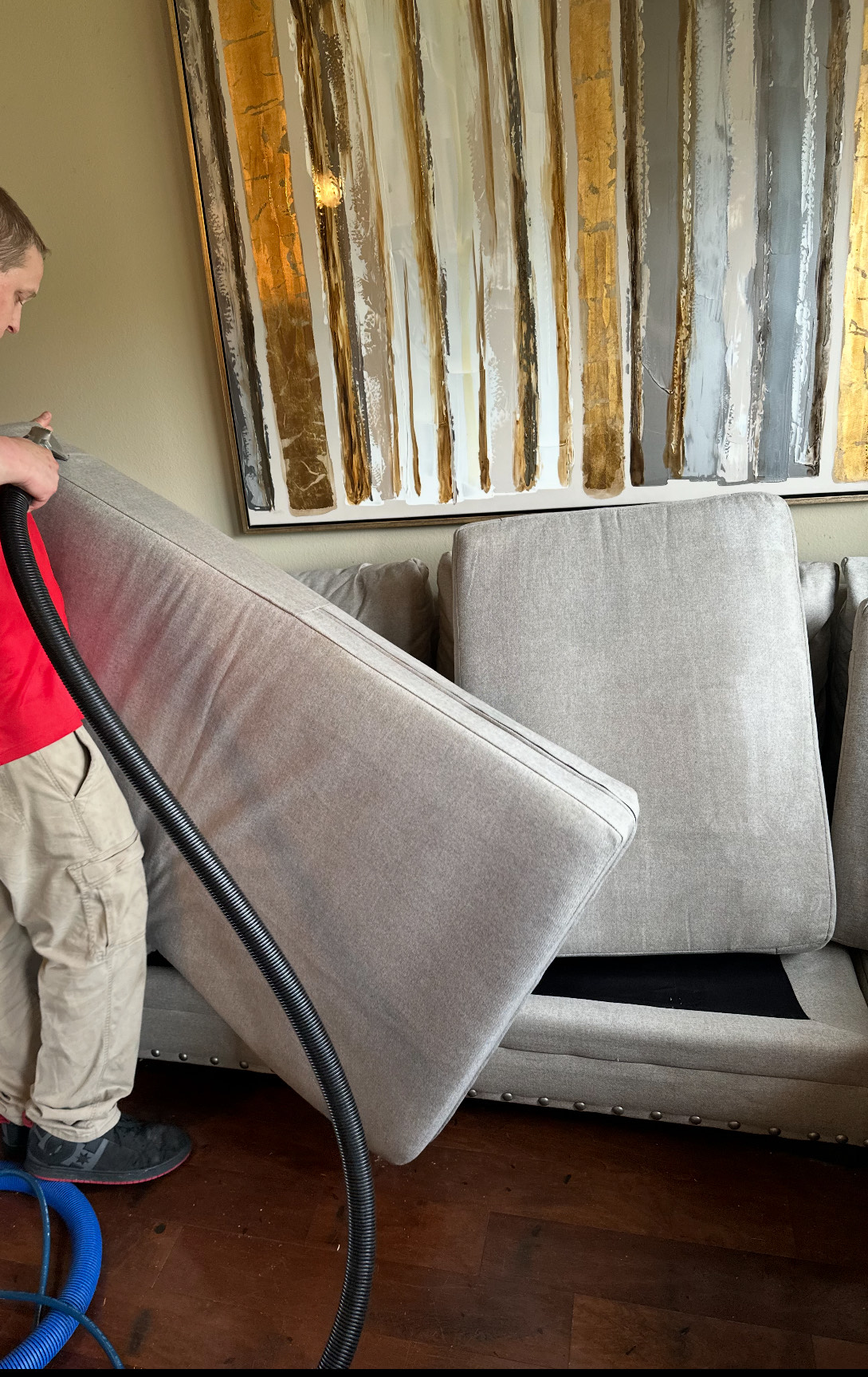 Desert Rose Carpet Cleaning Client Provided (4)