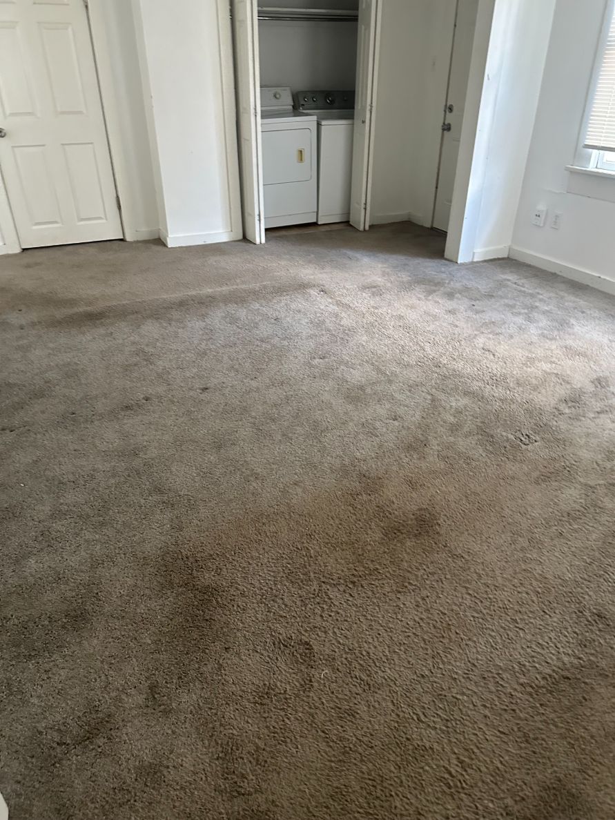 Desert Rose Carpet Cleaning Client Provided (1)
