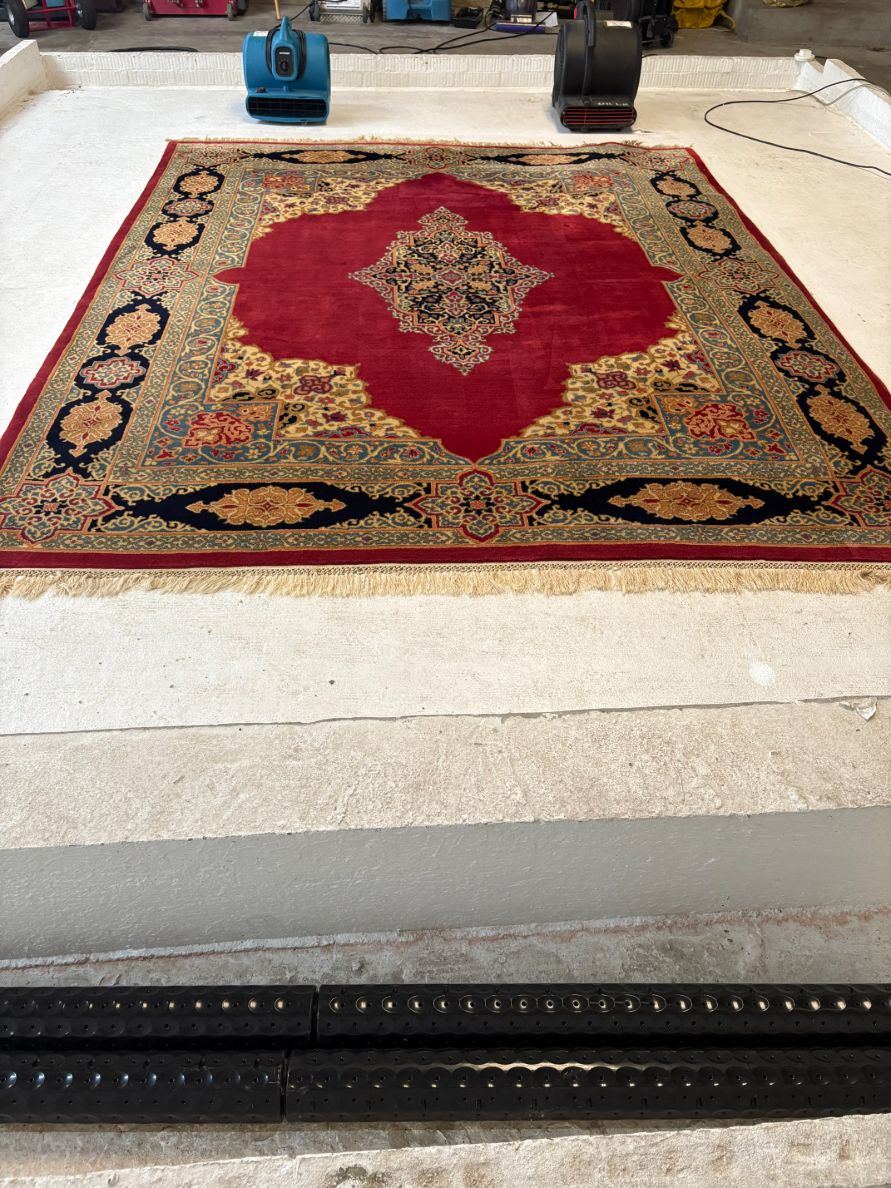 Desert Rose Carpet Cleaning Client Provided (1)