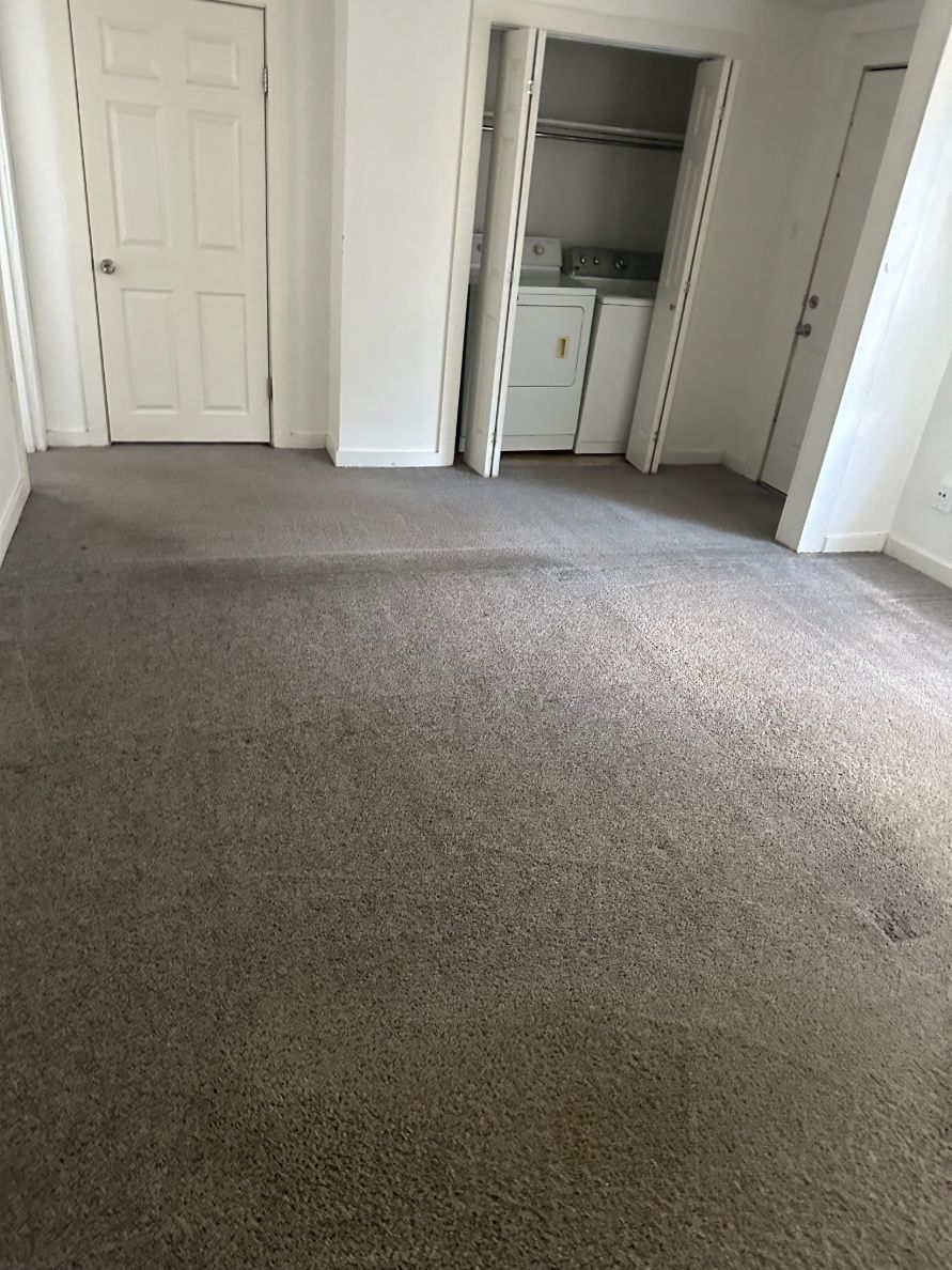 Desert Rose Carpet Cleaning Client Provided (2)