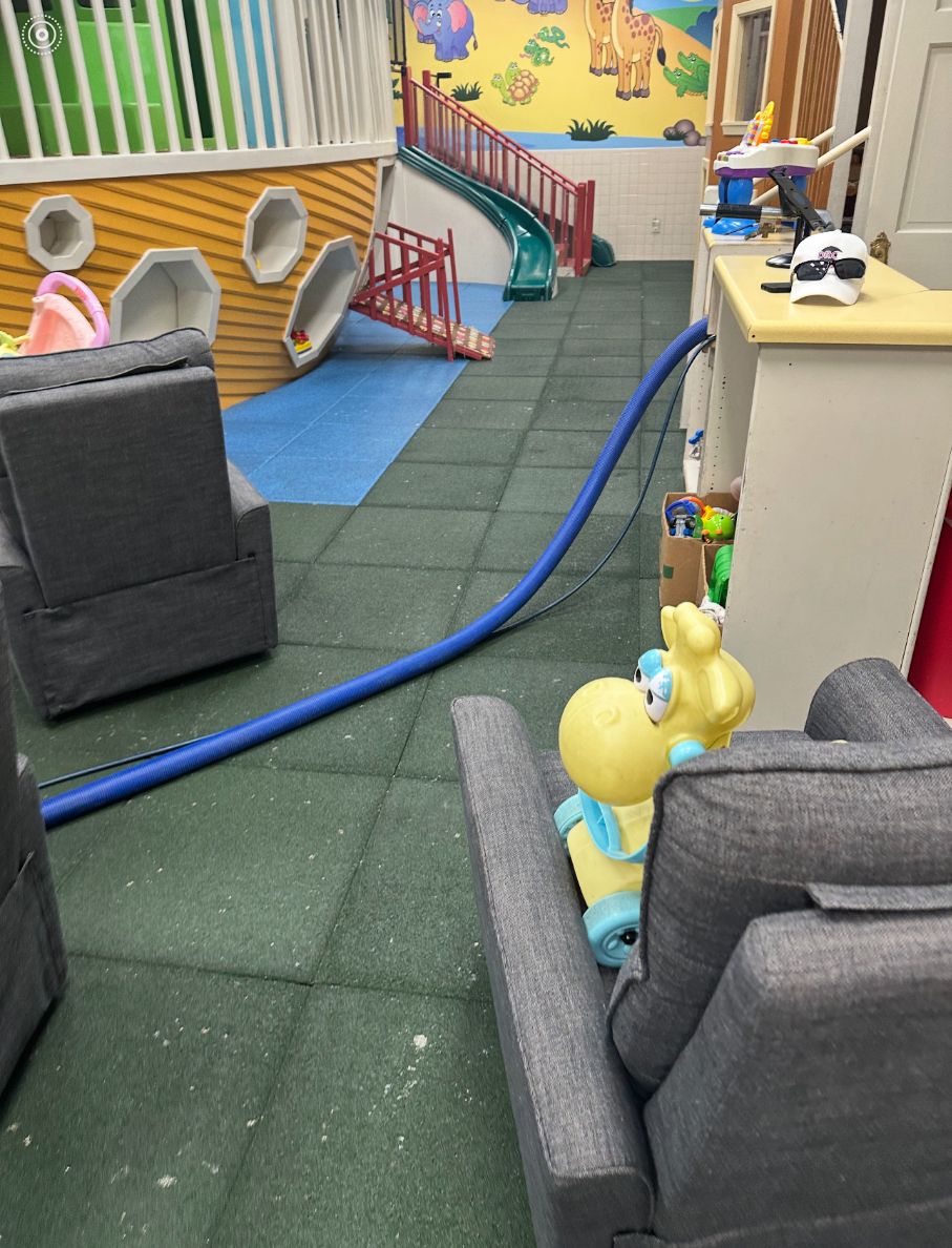 Desert Rose Carpet Cleaning Client Provided (7)