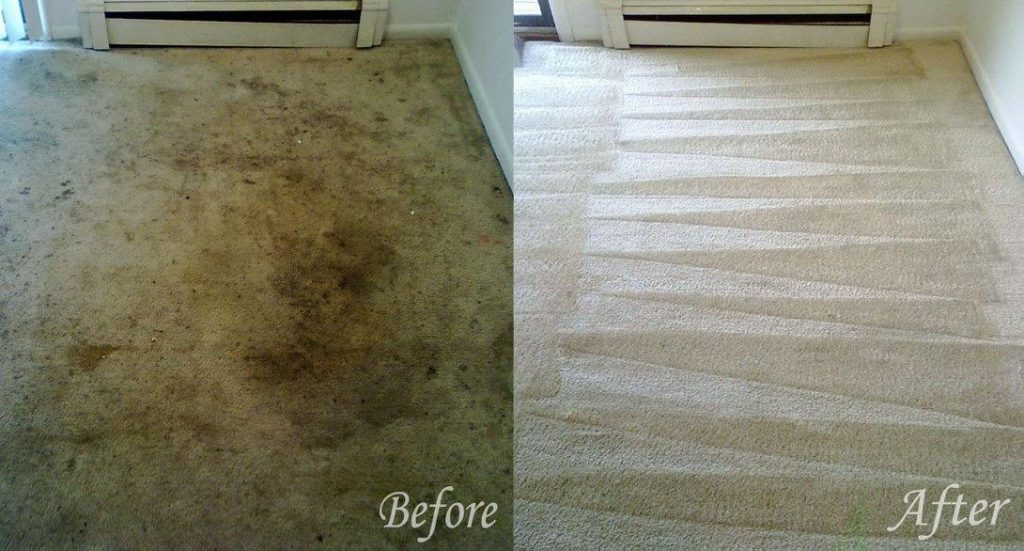 Desert Rose Carpet Cleaning 12 1024x551